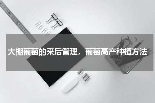 大棚葡萄的采后管理，葡萄高产种植方法