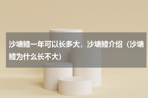 沙塘鳢一年可以长多大，沙塘鳢介绍（沙塘鳢为什么长不大）