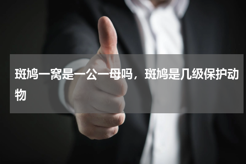 斑鸠一窝是一公一母吗，斑鸠是几级保护动物