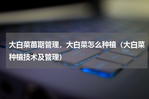 大白菜苗期管理，大白菜怎么种植（大白菜种植技术及管理）