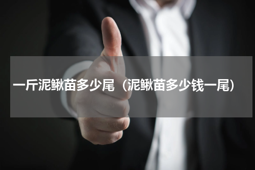 一斤泥鳅苗多少尾（泥鳅苗多少钱一尾）