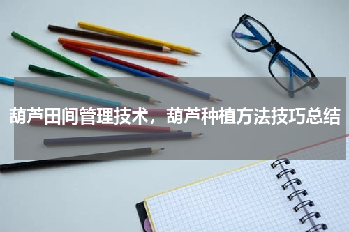 葫芦田间管理技术，葫芦种植方法技巧总结