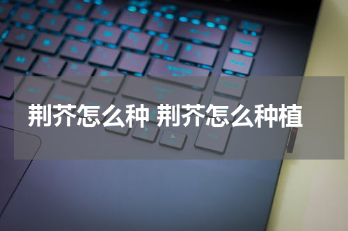 荆芥怎么种 荆芥怎么种植