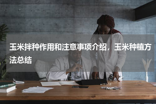 玉米拌种作用和注意事项介绍，玉米种植方法总结
