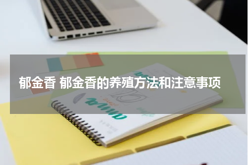 郁金香 郁金香的养殖方法和注意事项