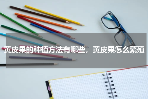 黄皮果的种植方法有哪些，黄皮果怎么繁殖