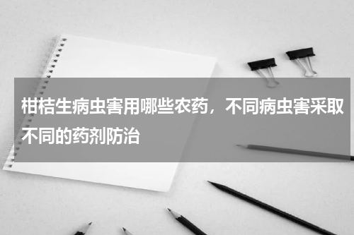 柑桔生病虫害用哪些农药，不同病虫害采取不同的药剂防治