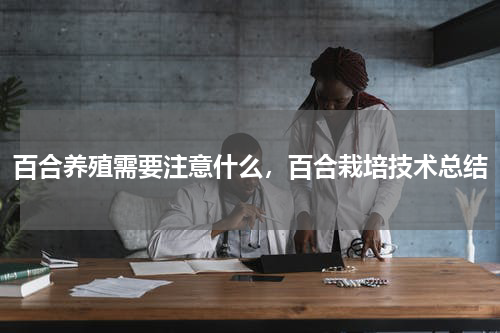 百合养殖需要注意什么，百合栽培技术总结