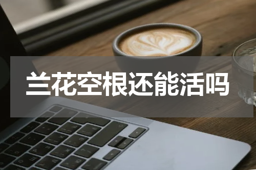 兰花空根还能活吗