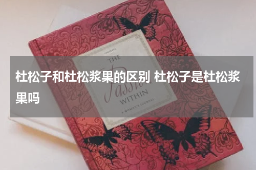 杜松子和杜松浆果的区别 杜松子是杜松浆果吗