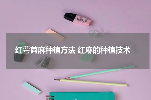 红萼苘麻种植方法 红麻的种植技术