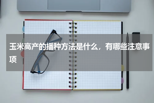 玉米高产的播种方法是什么，有哪些注意事项
