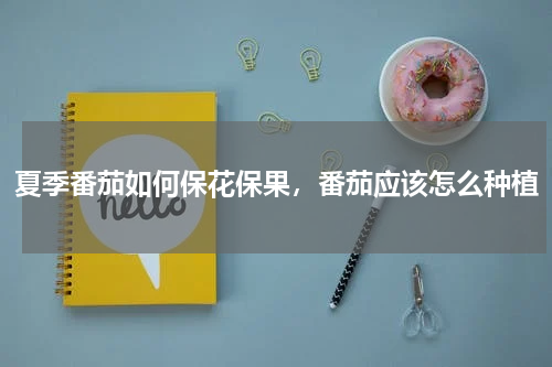 夏季番茄如何保花保果，番茄应该怎么种植