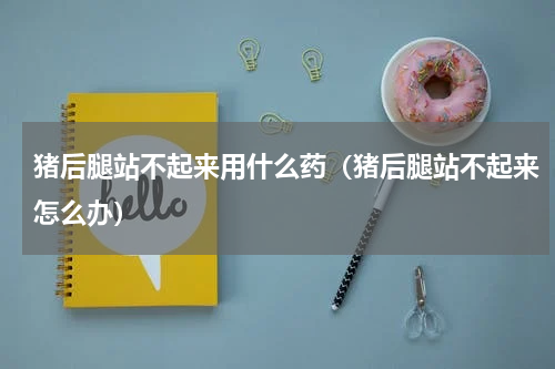猪后腿站不起来用什么药（猪后腿站不起来怎么办）