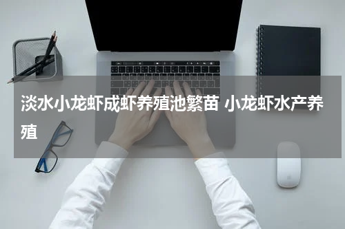 淡水小龙虾成虾养殖池繁苗 小龙虾水产养殖
