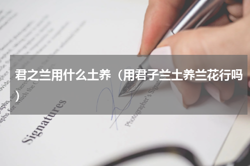君之兰用什么土养（用君子兰土养兰花行吗）