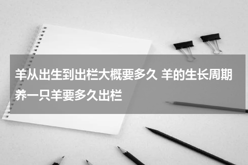 羊从出生到出栏大概要多久 羊的生长周期养一只羊要多久出栏