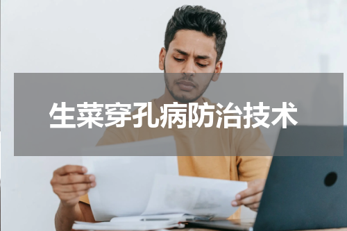 生菜穿孔病防治技术