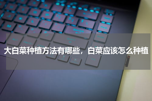 大白菜种植方法有哪些，白菜应该怎么种植