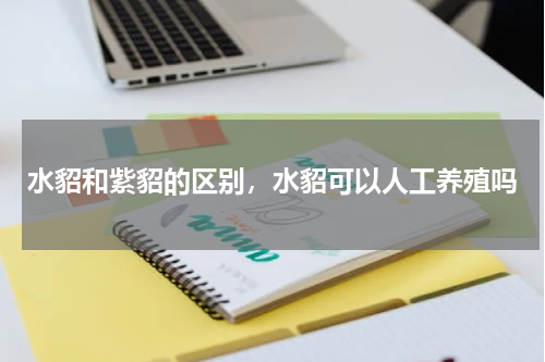 水貂和紫貂的区别，水貂可以人工养殖吗