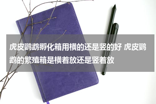 虎皮鹦鹉孵化箱用横的还是竖的好 虎皮鹦鹉的繁殖箱是横着放还是竖着放