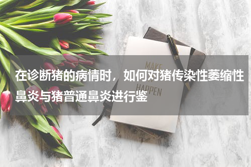 在诊断猪的病情时，如何对猪传染性萎缩性鼻炎与猪普通鼻炎进行鉴