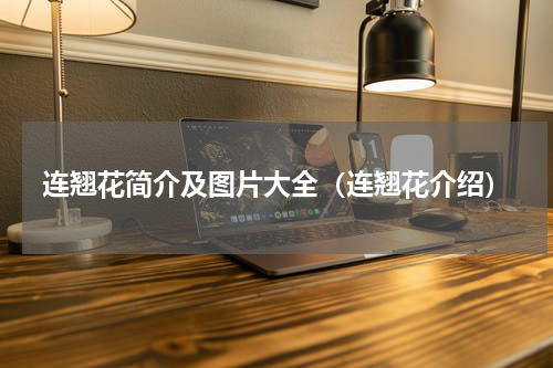 连翘花简介及图片大全（连翘花介绍）