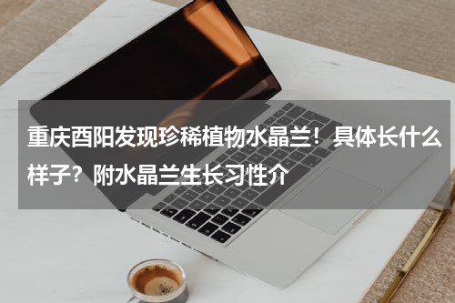 重庆酉阳发现珍稀植物水晶兰！具体长什么样子？附水晶兰生长习性介