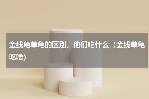 金线龟草龟的区别，他们吃什么（金线草龟吃啥）