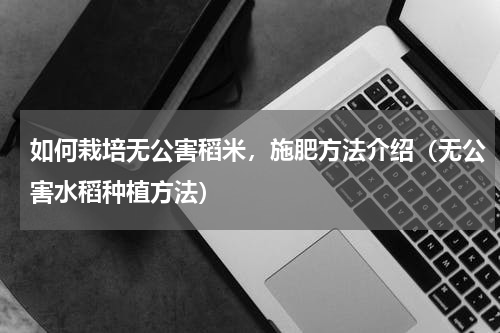 如何栽培无公害稻米，施肥方法介绍（无公害水稻种植方法）