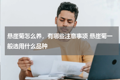 悬崖菊怎么养，有哪些注意事项 悬崖菊一般选用什么品种