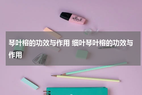 琴叶榕的功效与作用 细叶琴叶榕的功效与作用