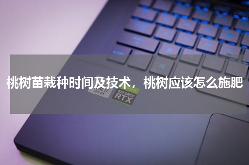 桃树苗栽种时间及技术，桃树应该怎么施肥