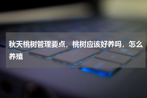 秋天桃树管理要点，桃树应该好养吗，怎么养殖