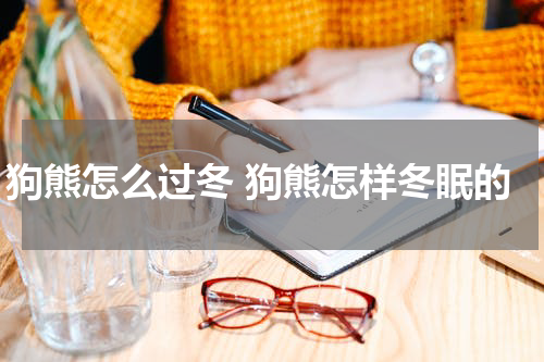 狗熊怎么过冬 狗熊怎样冬眠的