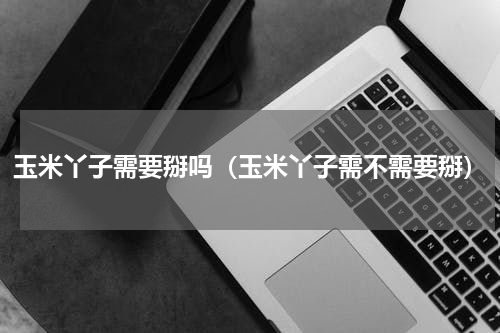 玉米丫子需要掰吗（玉米丫子需不需要掰）