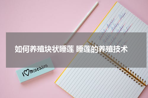 如何养殖块状睡莲 睡莲的养殖技术