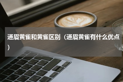 通眉黄雀和黄雀区别（通眉黄雀有什么优点）