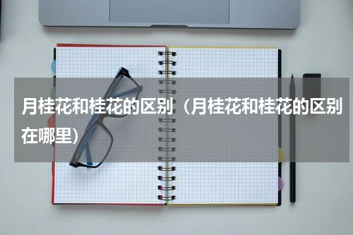 月桂花和桂花的区别（月桂花和桂花的区别在哪里）
