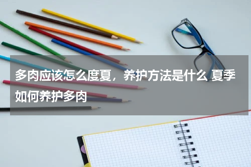 多肉应该怎么度夏，养护方法是什么 夏季如何养护多肉