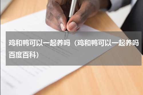 鸡和鸭可以一起养吗（鸡和鸭可以一起养吗百度百科）