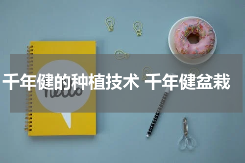 千年健的种植技术 千年健盆栽