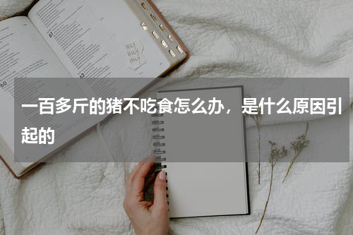一百多斤的猪不吃食怎么办，是什么原因引起的