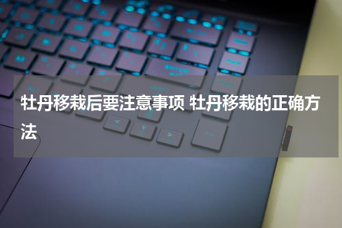 牡丹移栽后要注意事项 牡丹移栽的正确方法