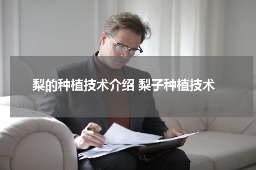 梨的种植技术介绍 梨子种植技术