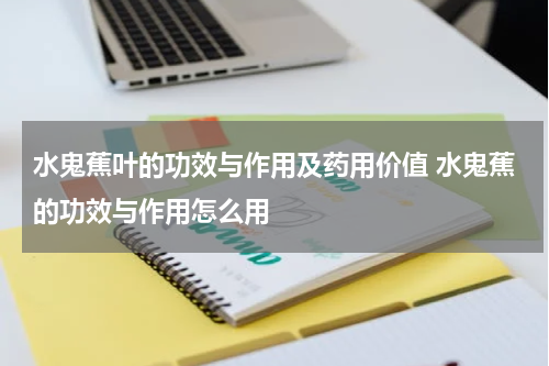 水鬼蕉叶的功效与作用及药用价值 水鬼蕉的功效与作用怎么用
