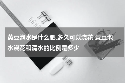 黄豆泡水是什么肥,多久可以浇花 黄豆泡水浇花和清水的比例是多少