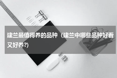 建兰最值得养的品种（建兰中哪些品种好看又好养?）