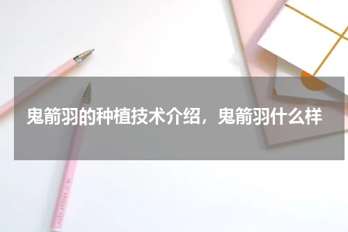 鬼箭羽的种植技术介绍，鬼箭羽什么样