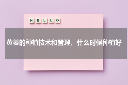 黄姜的种植技术和管理，什么时候种植好